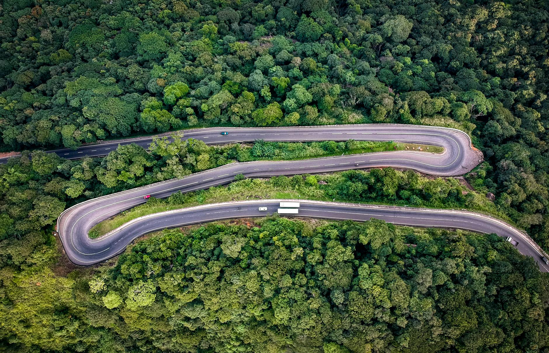 Scenic view of lush greenery and tea plantations near Kandy