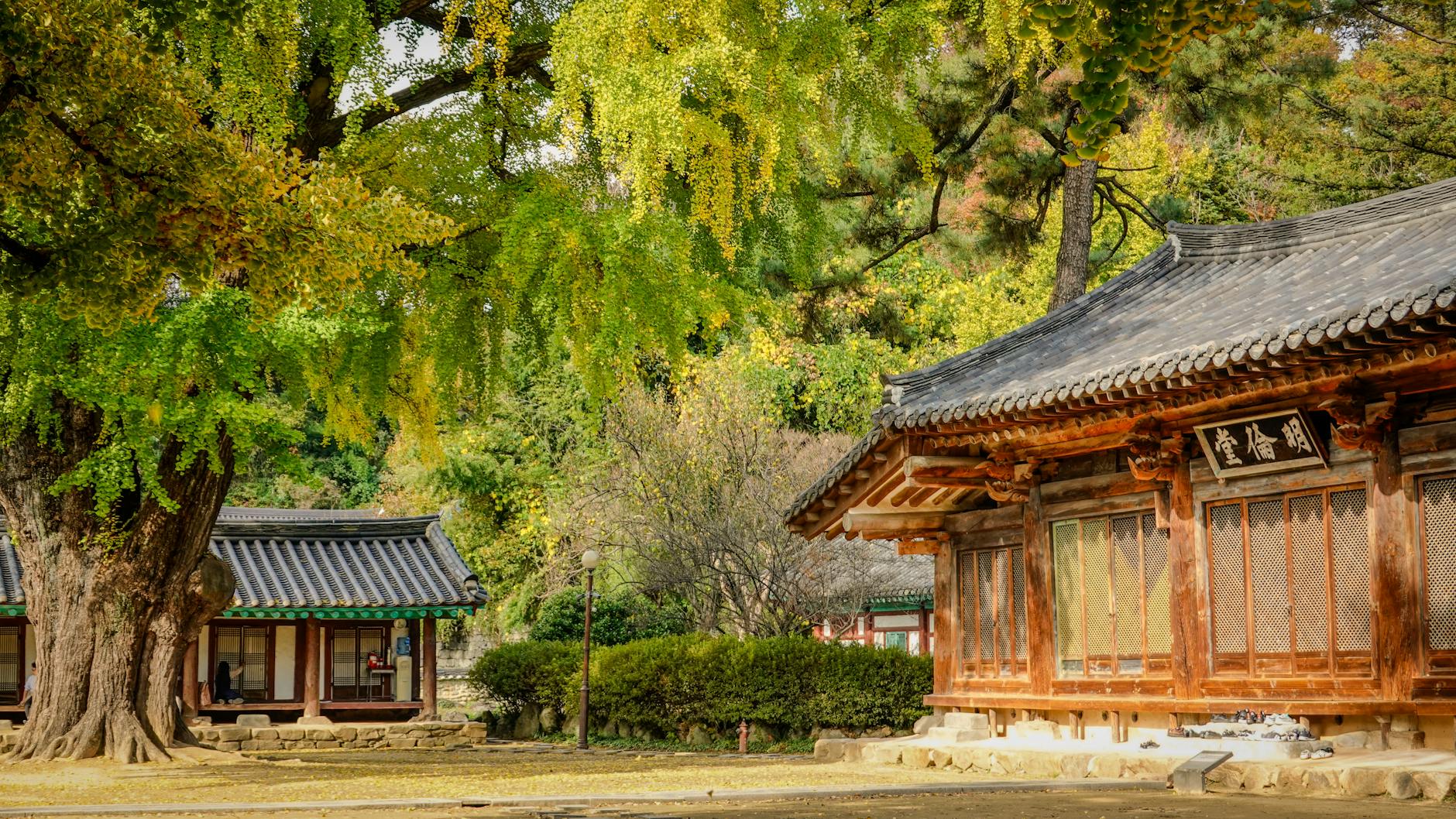 Traditional Hanok Village in Jeonju with tourists exploring Korean houses
