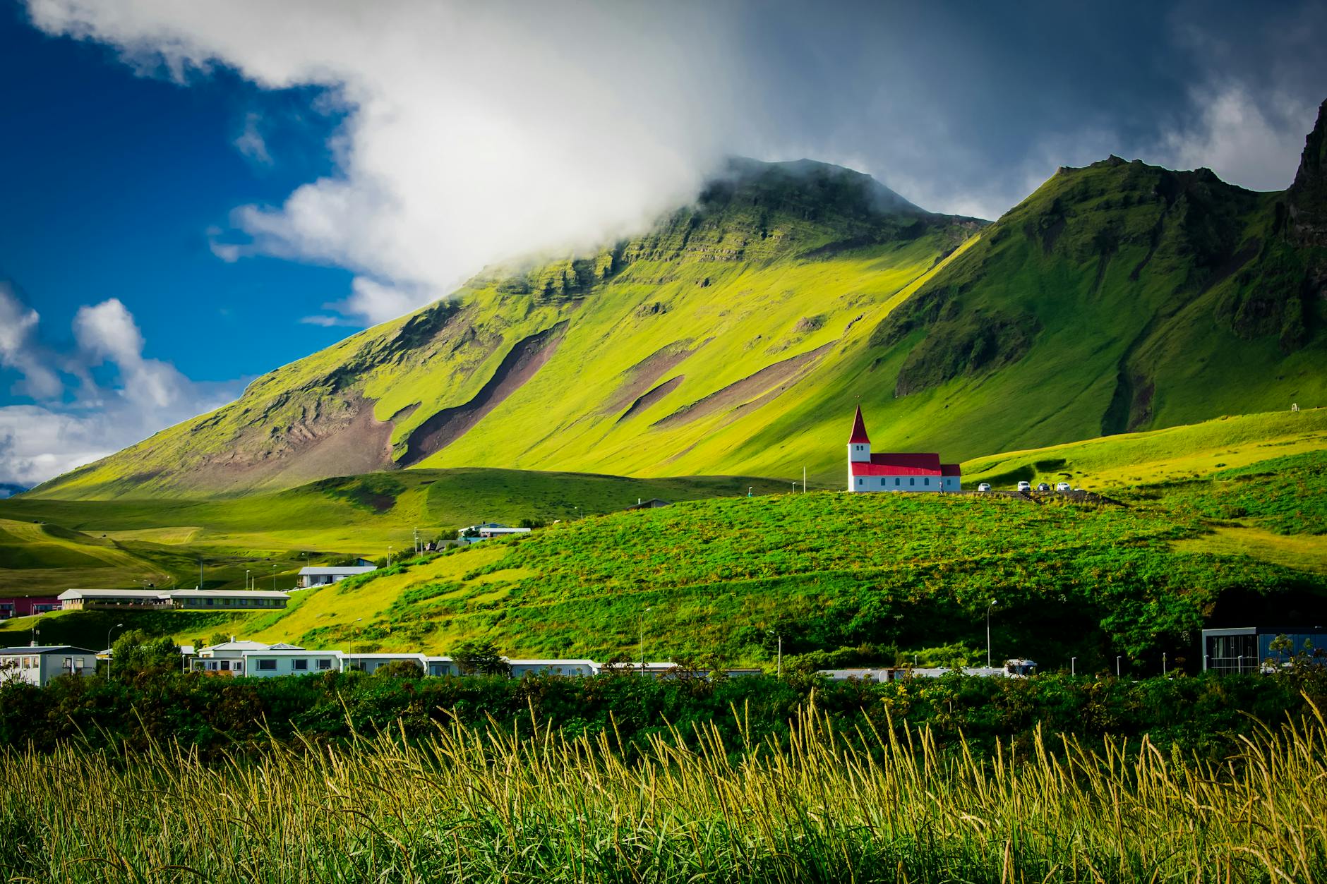 Vast green fields in Iceland with mountains in the background under clear skies