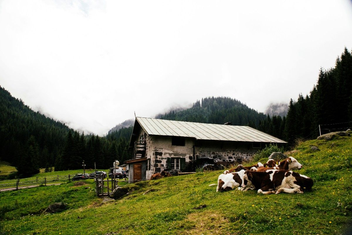 Remote mountain farm stay with beautiful views representing 2026 nature escape travel trend.